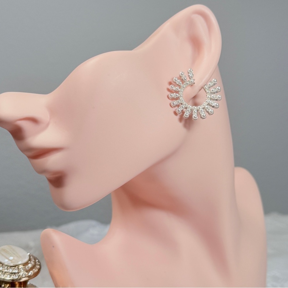 Trendy Silver Crystal Hoop Earrings